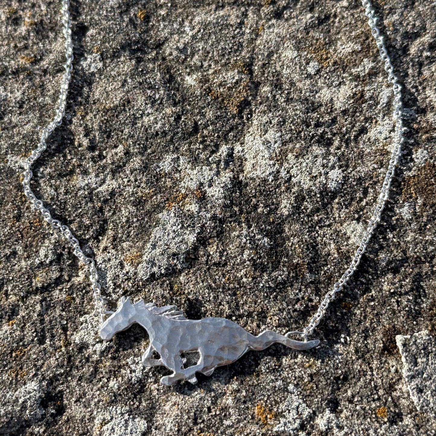 SILVER WILD HORSE