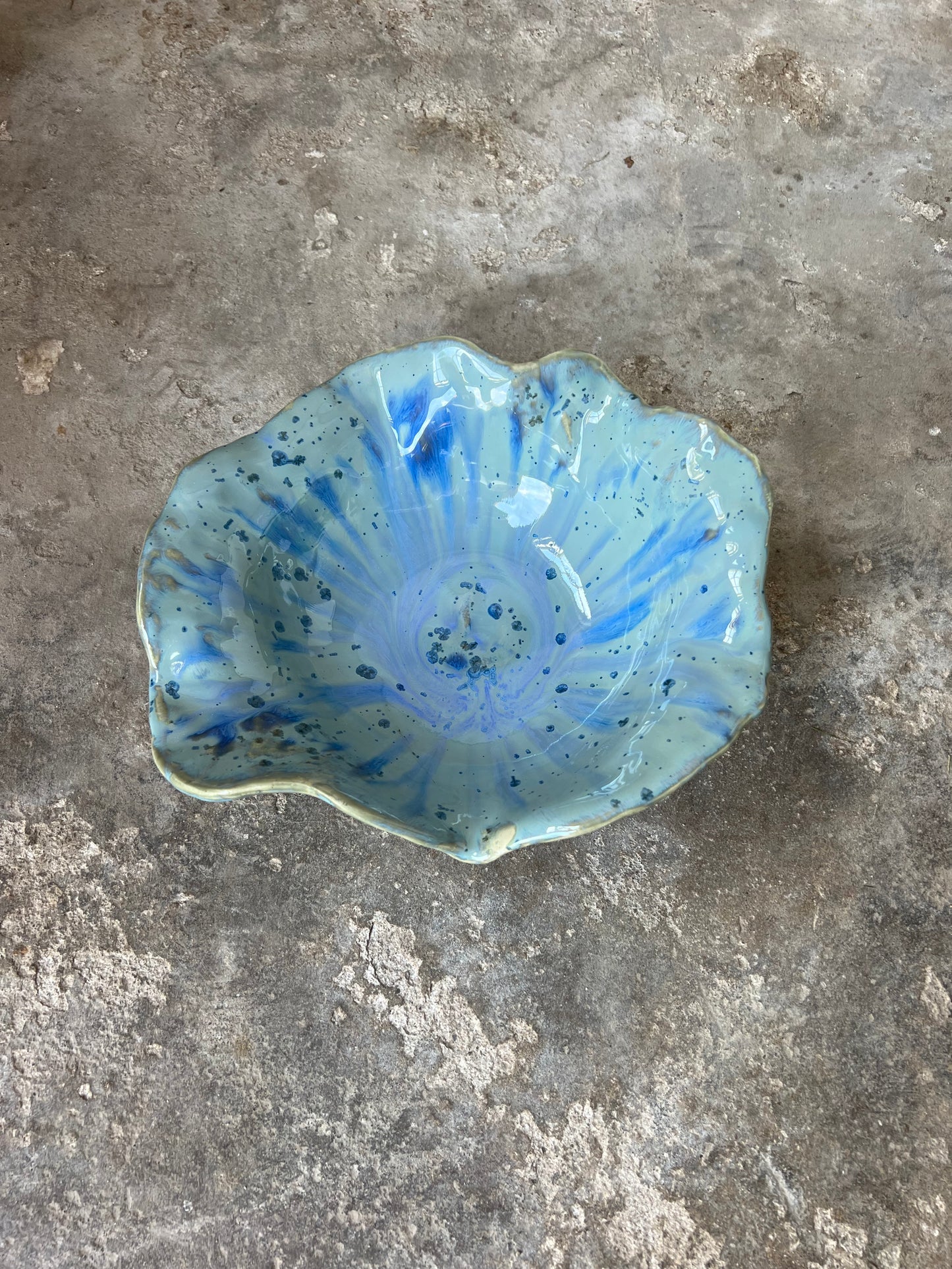 SEASHELL no1