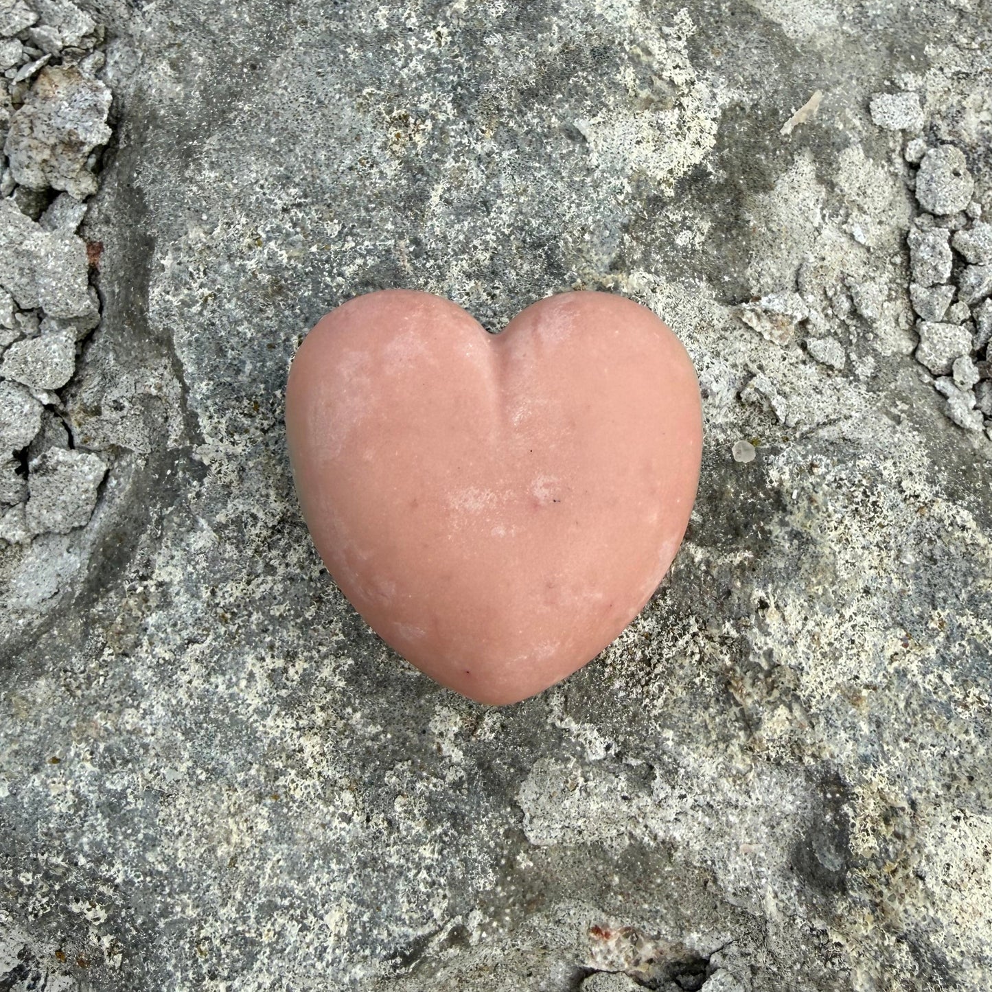 SIGNE heart