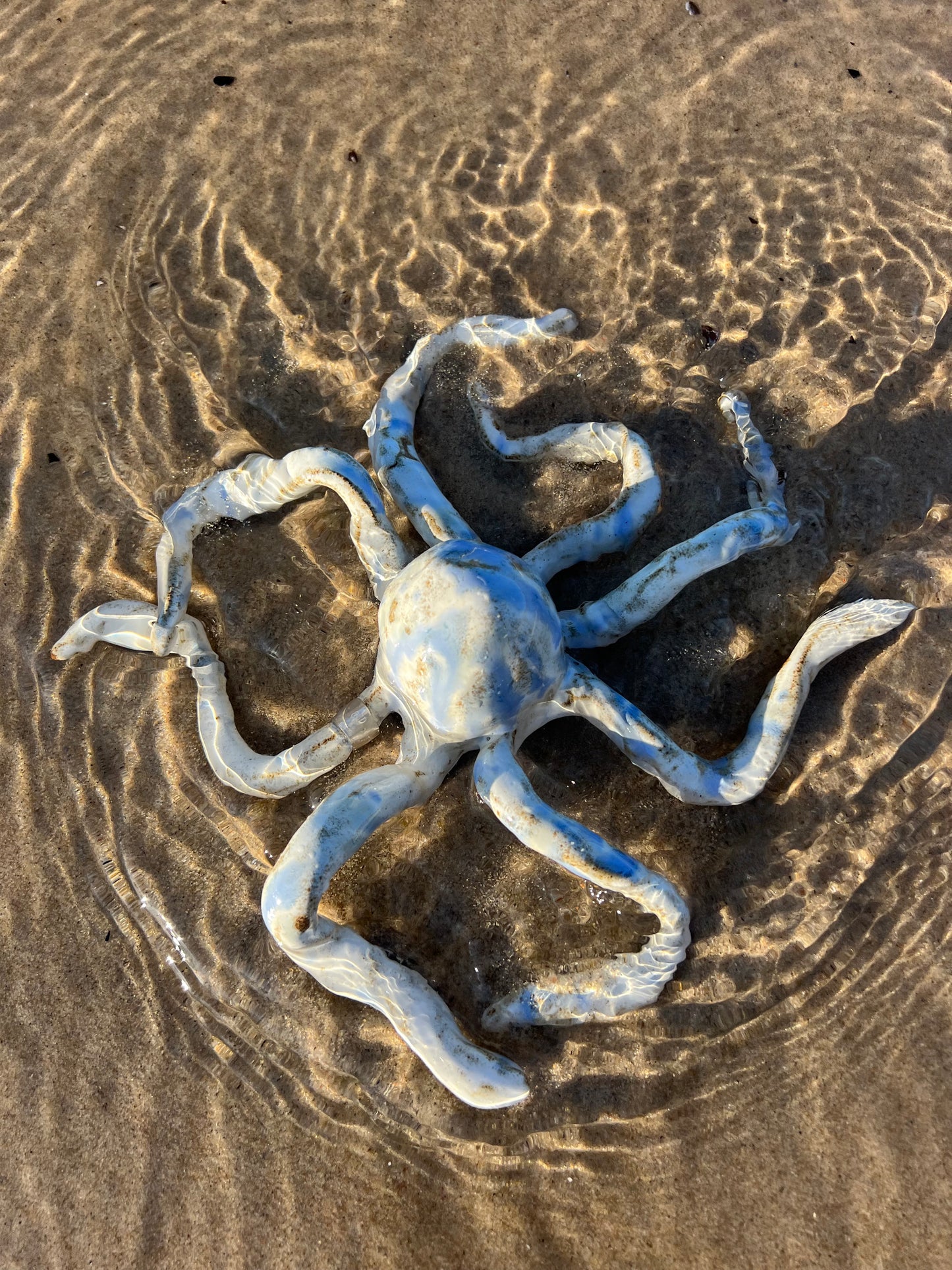 OCTOPUS