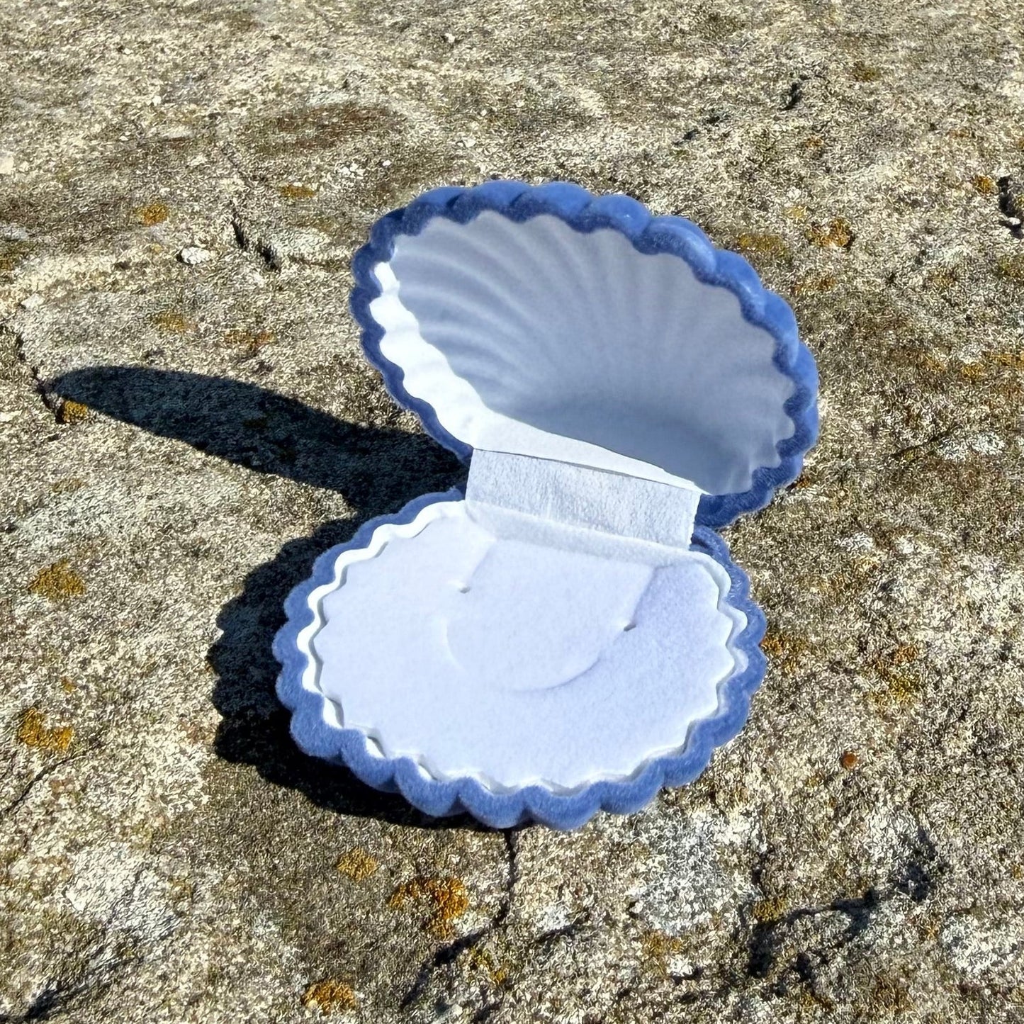 SEASHELL (blue)