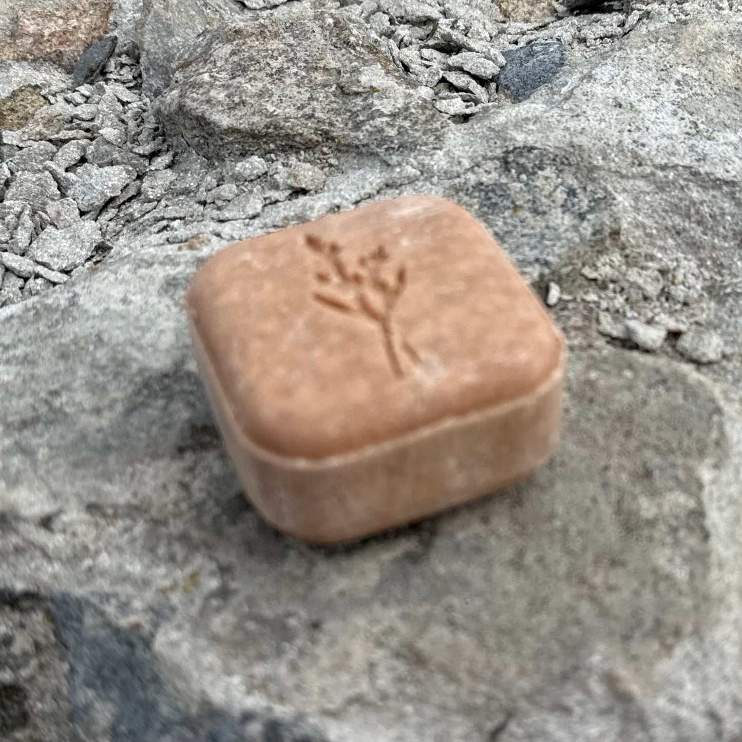 VILDVÅG schampoo