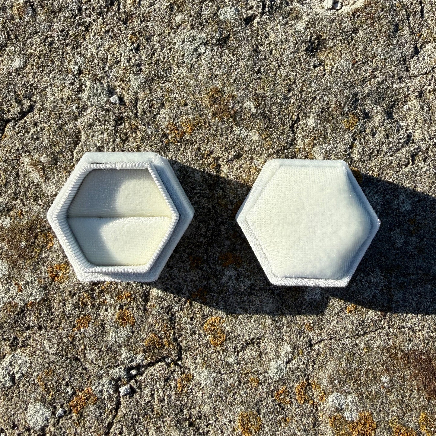 HEXAGON (white)