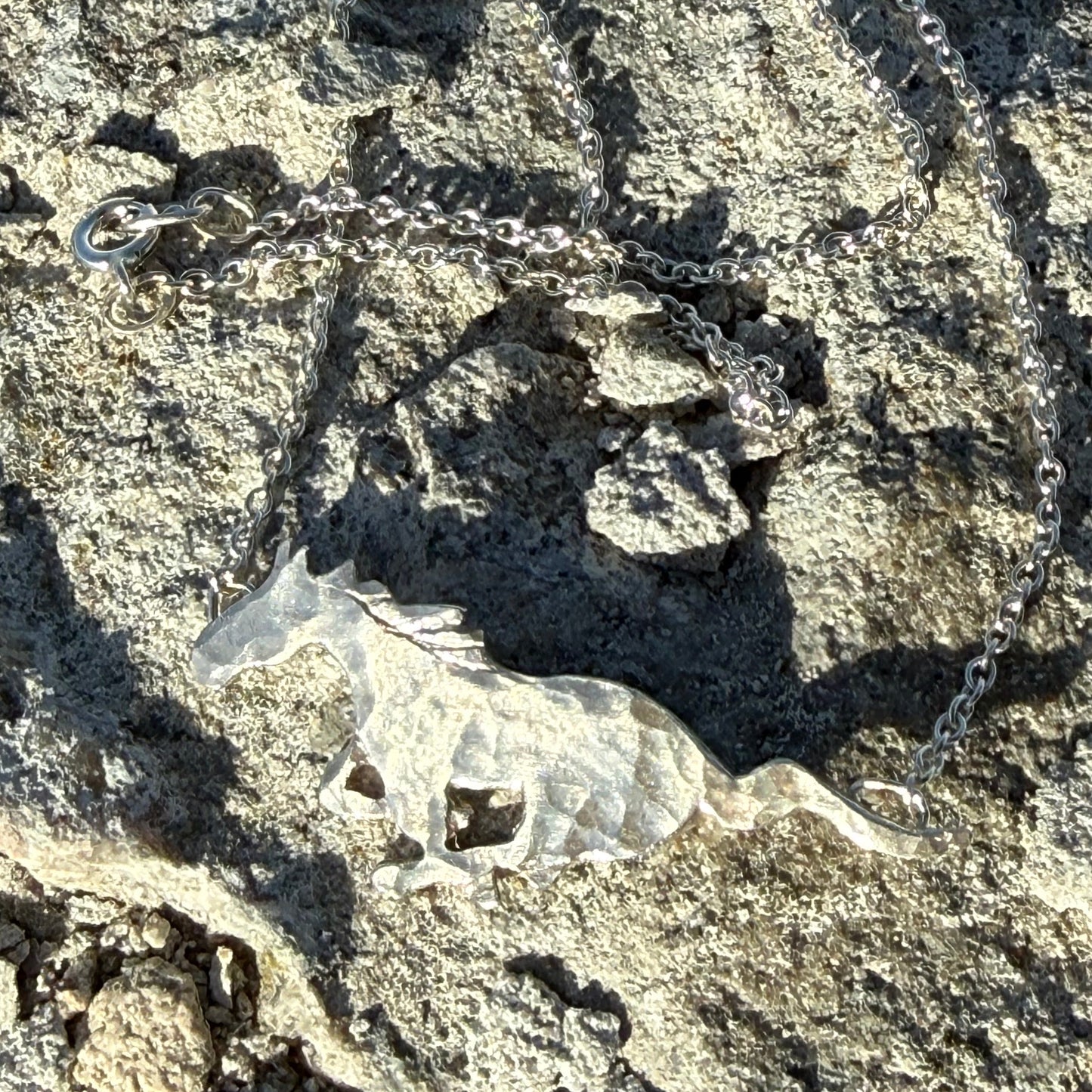SILVER WILD HORSE