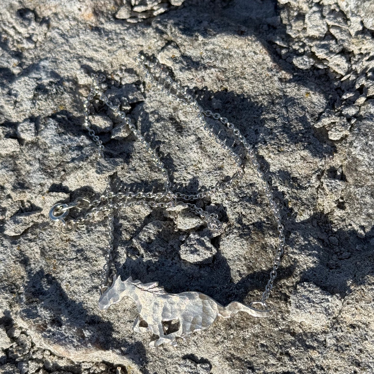 SILVER WILD HORSE