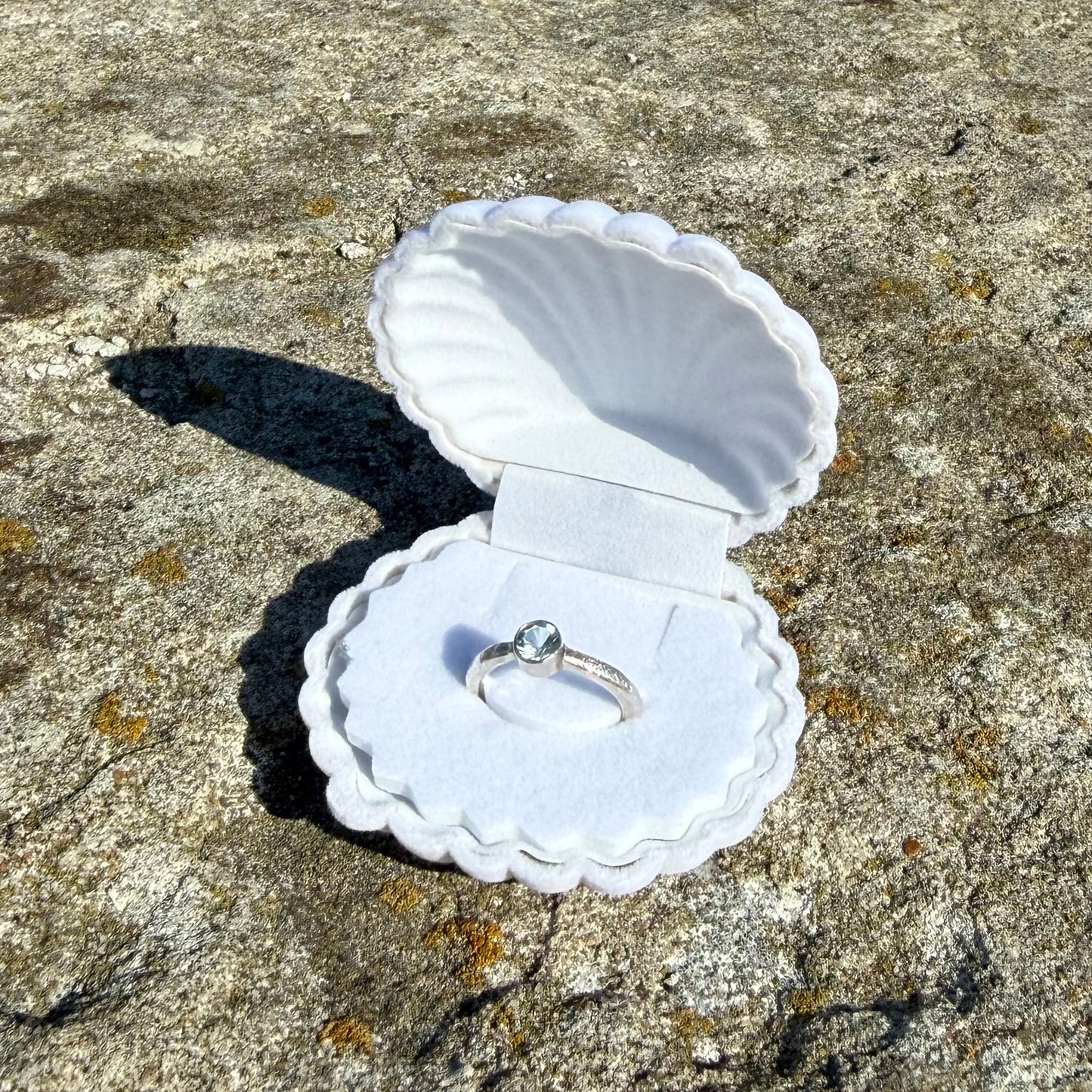 SEASHELL (white)