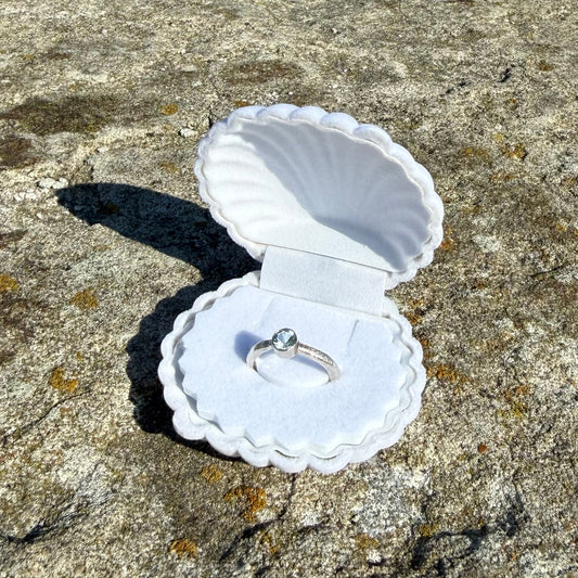SEASHELL (white)