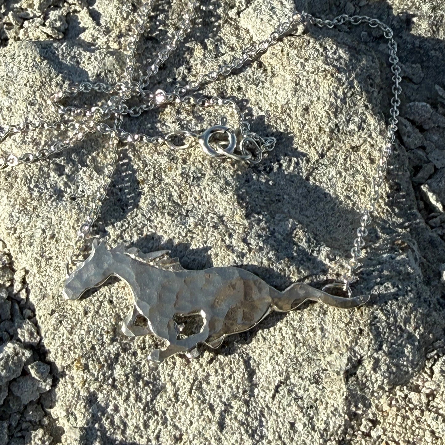 SILVER WILD HORSE