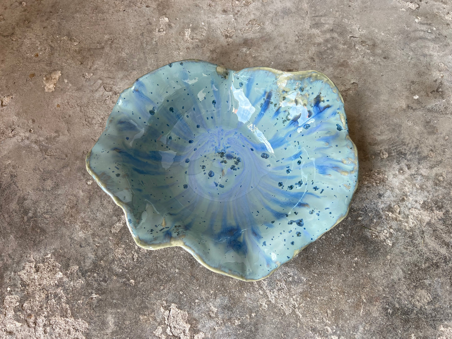 SEASHELL no1