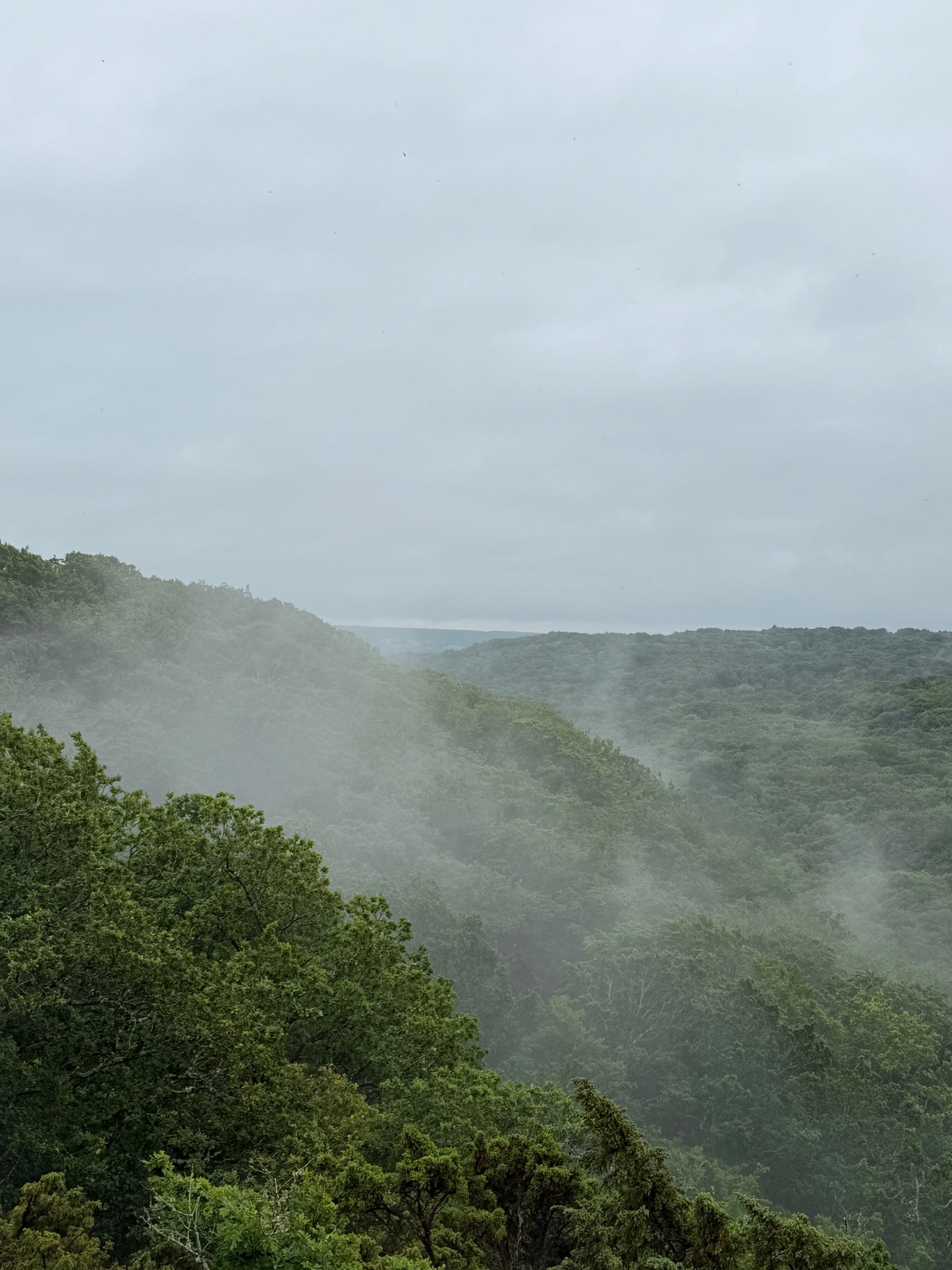 follow your heART retreat