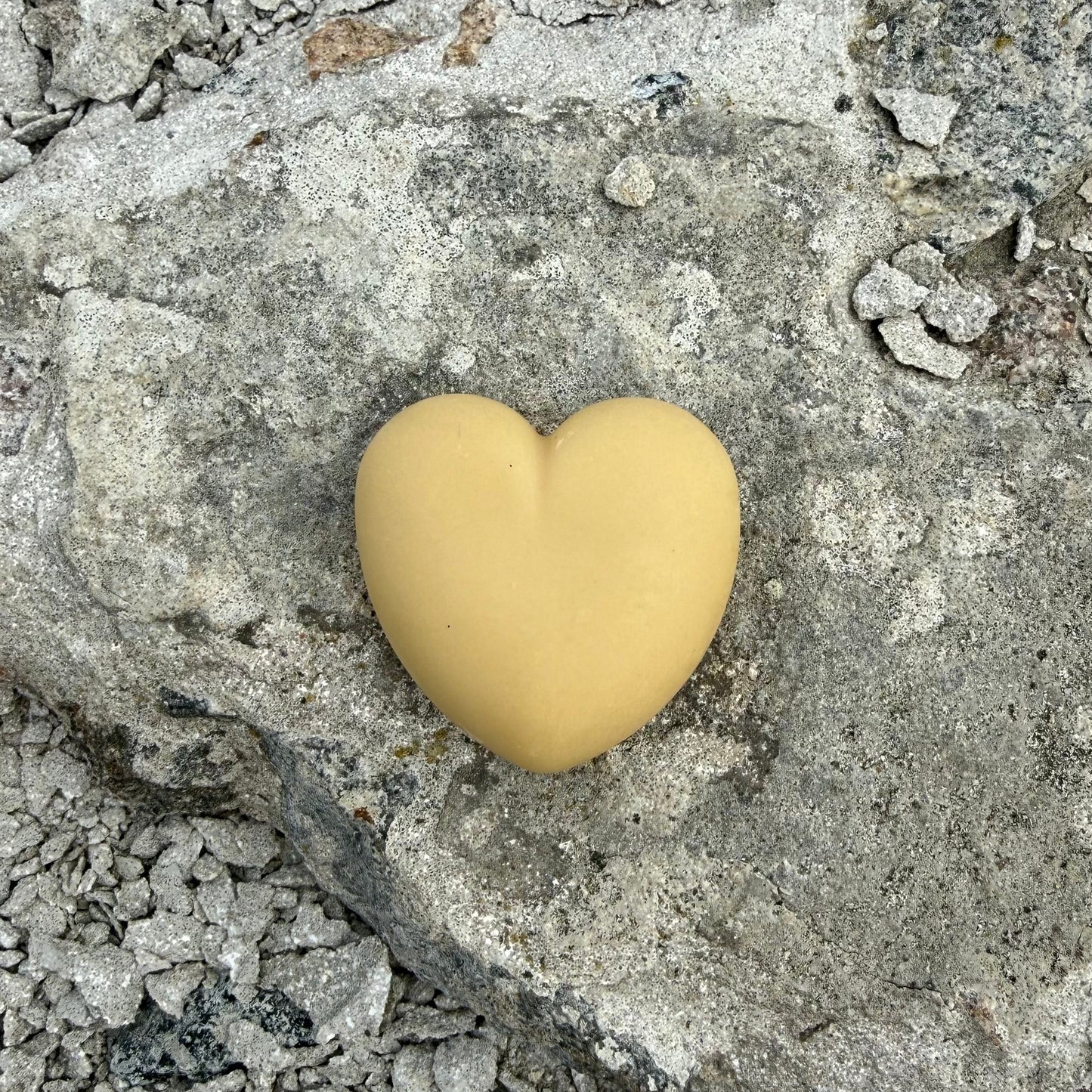 ANTON heart