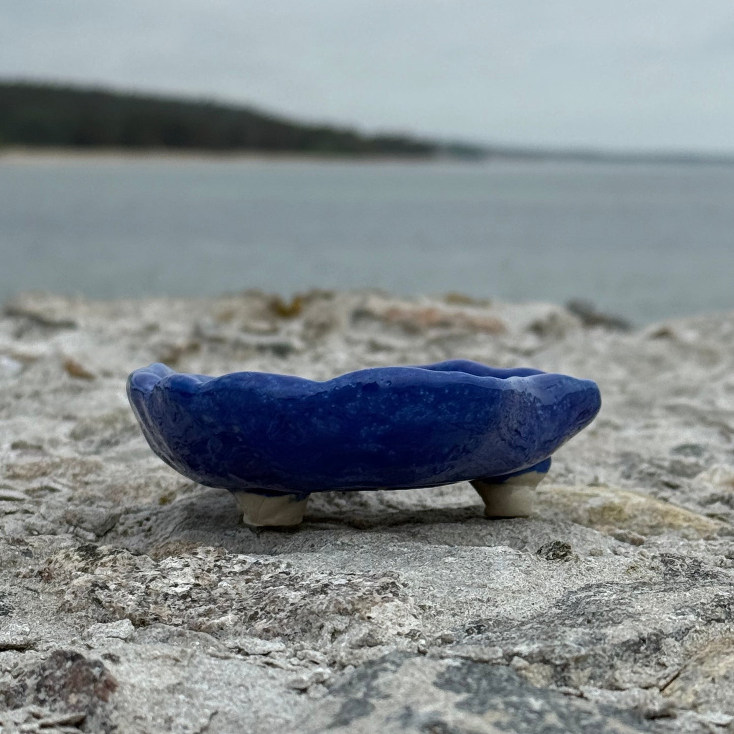 SOAP DISH no1