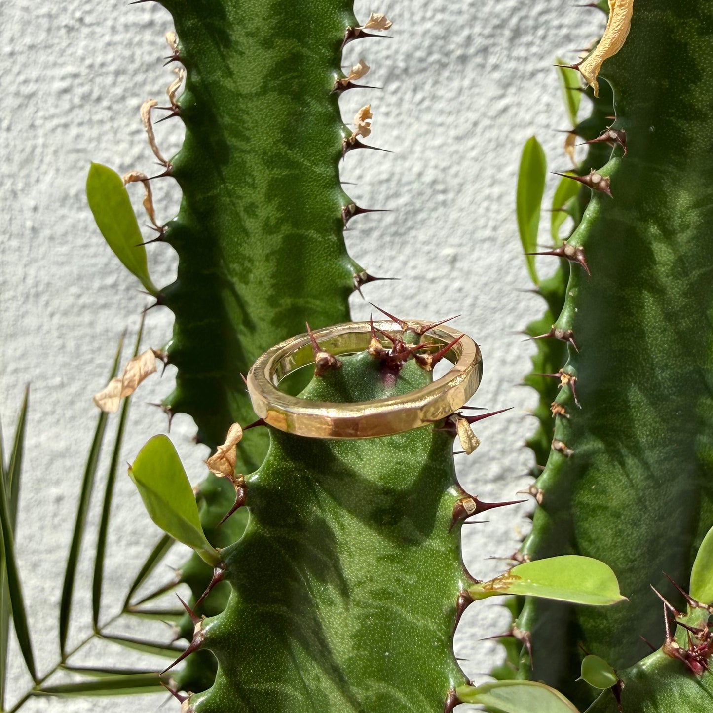 18K UNISEX