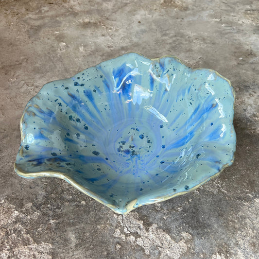 SEASHELL no1