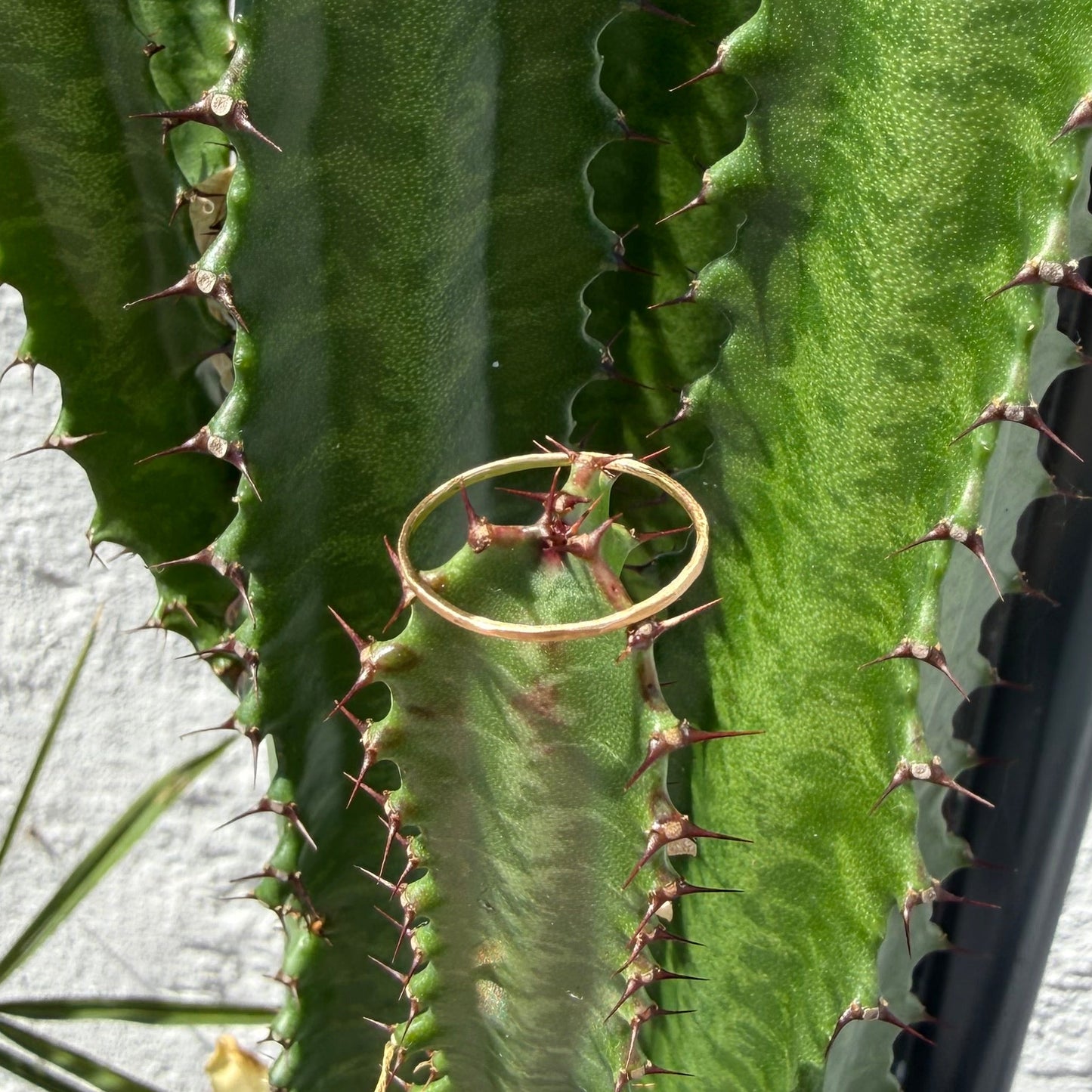 THIN 18K GOLD