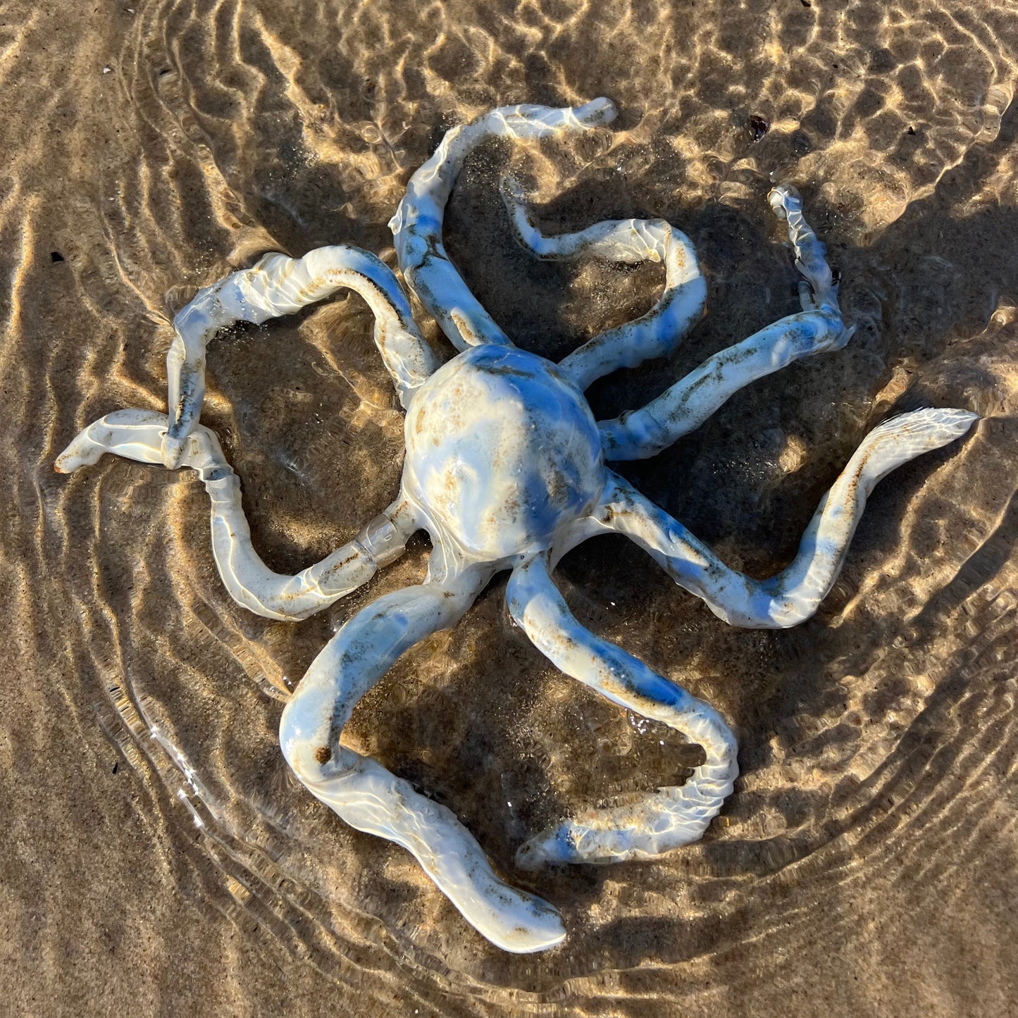 OCTOPUS