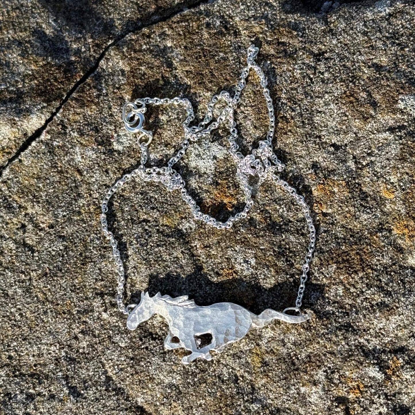 SILVER WILD HORSE