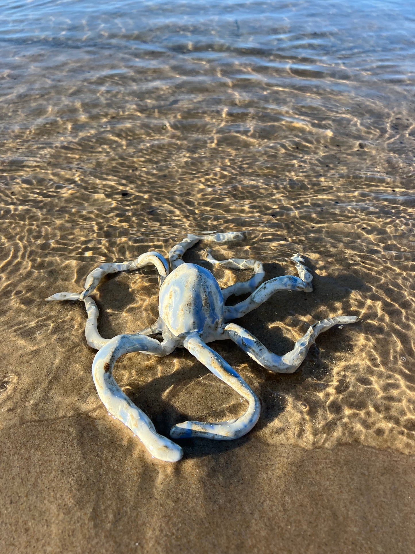 OCTOPUS