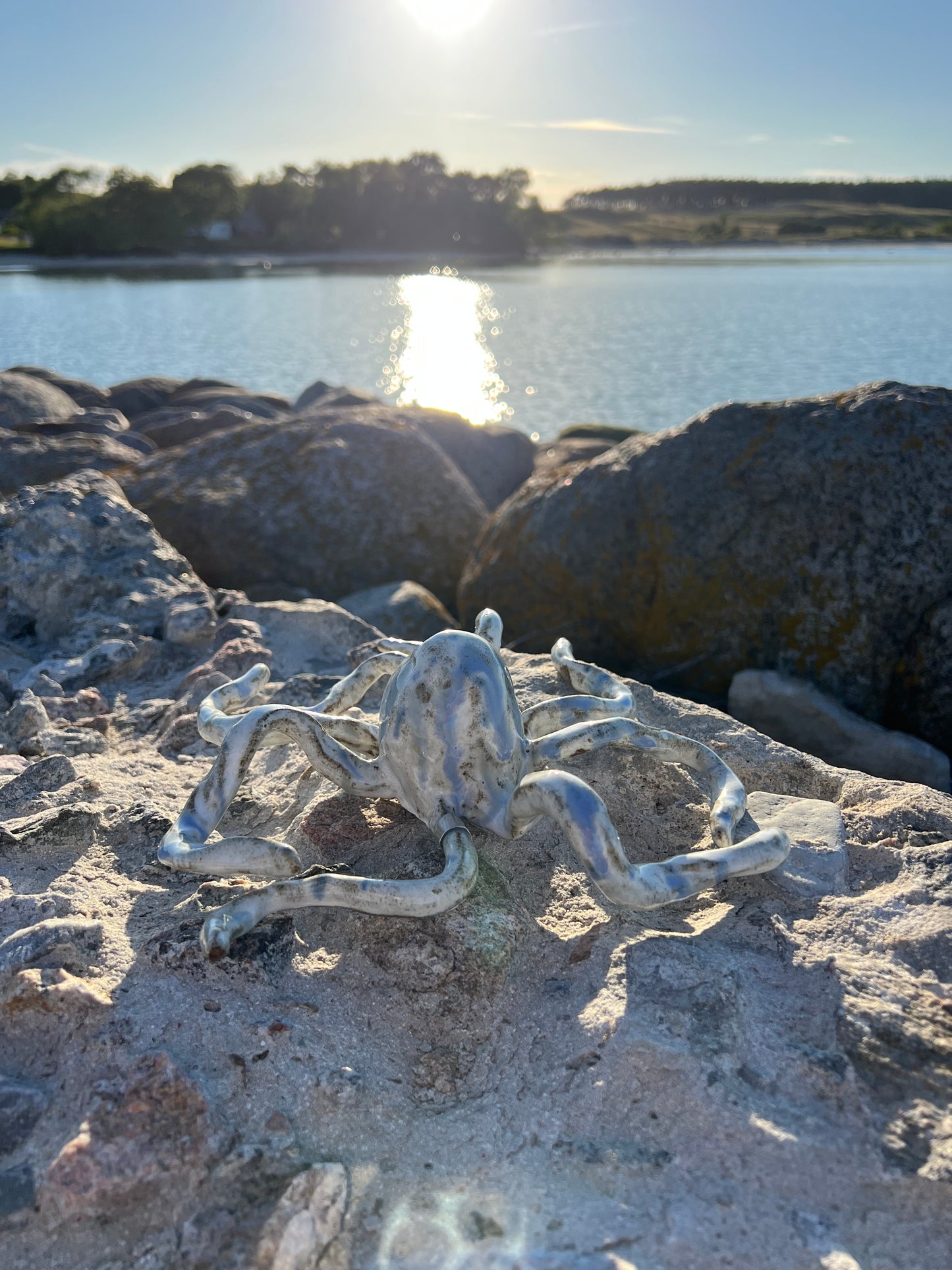 OCTOPUS