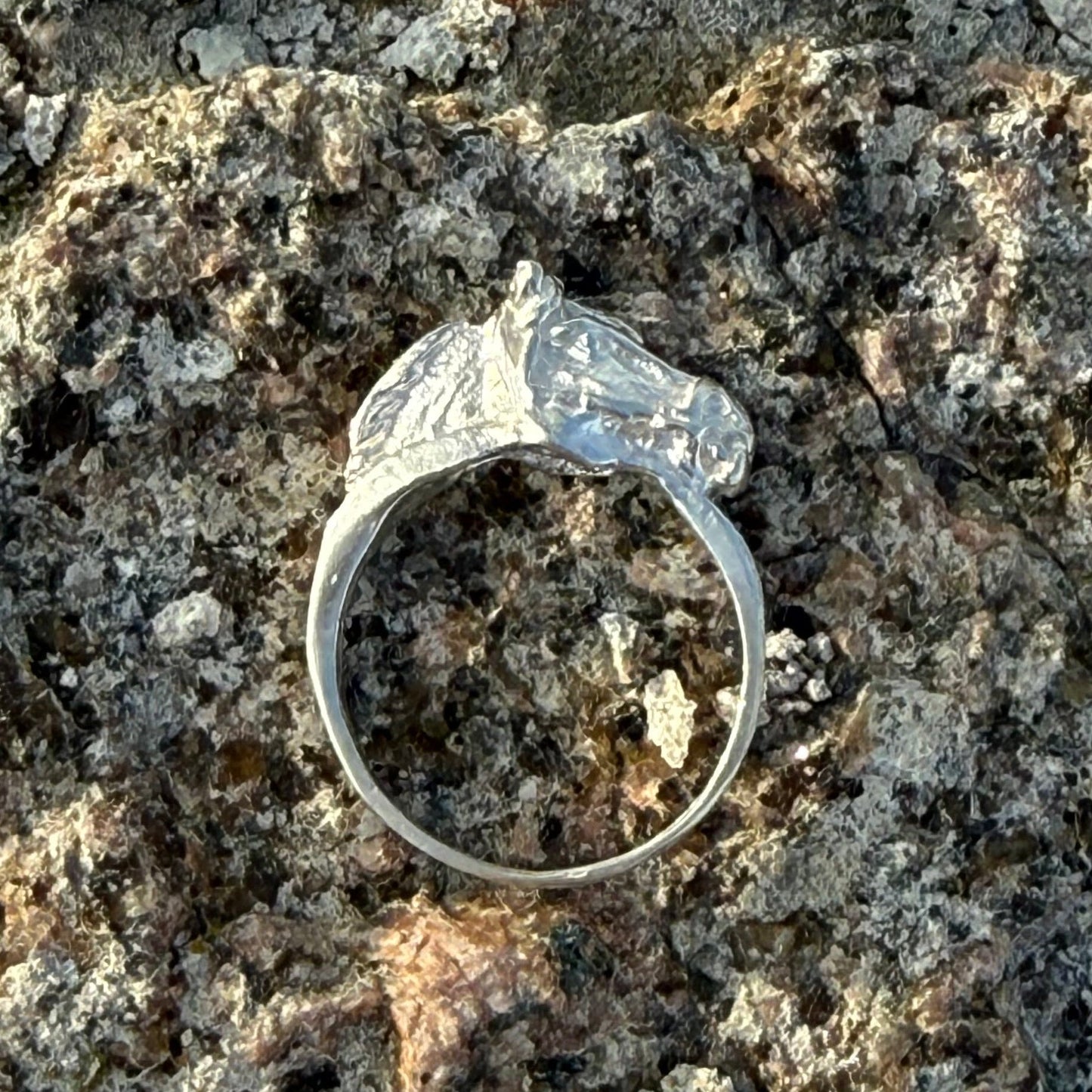 SILVER HORSE