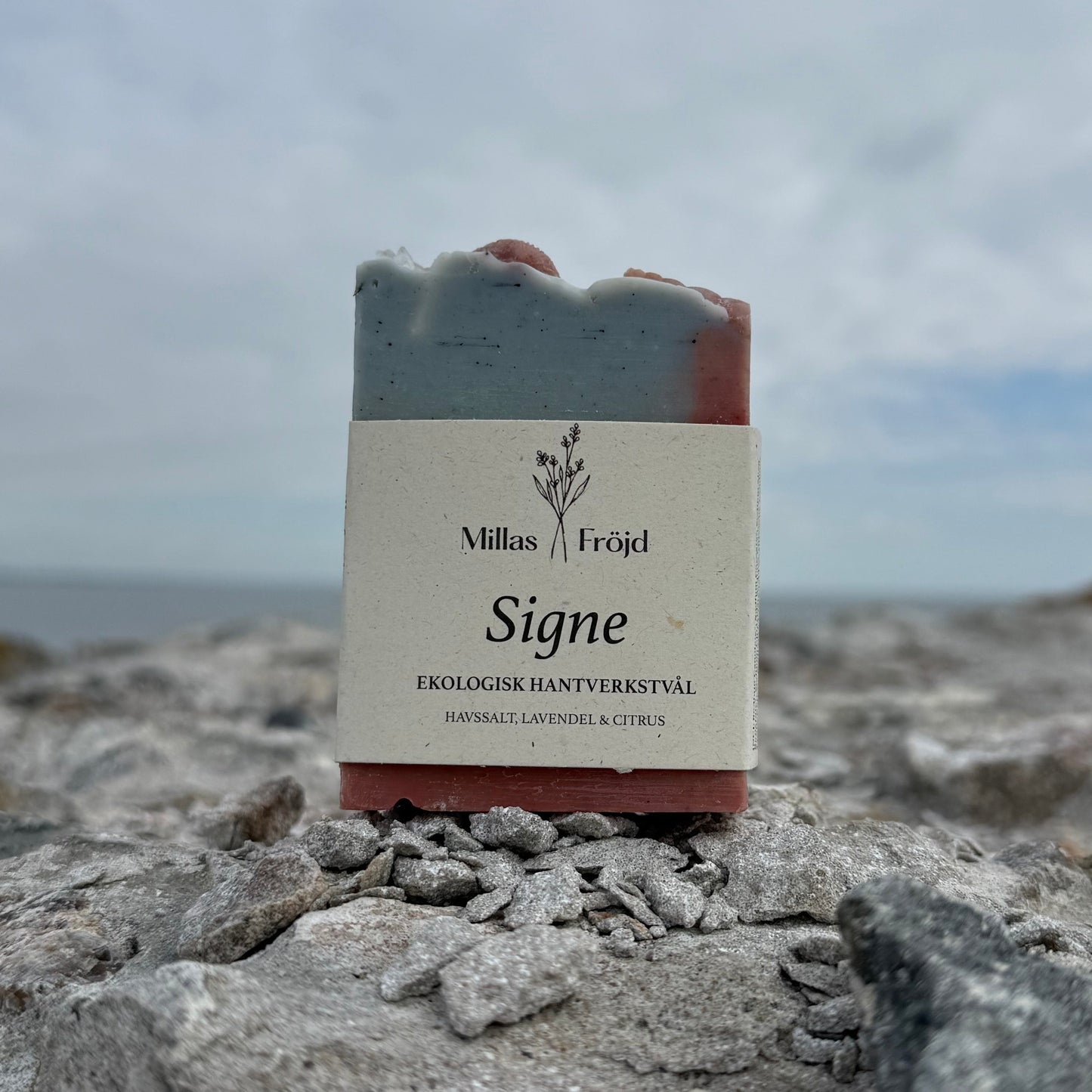 SIGNE