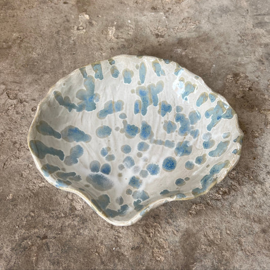 SEASHELL no2