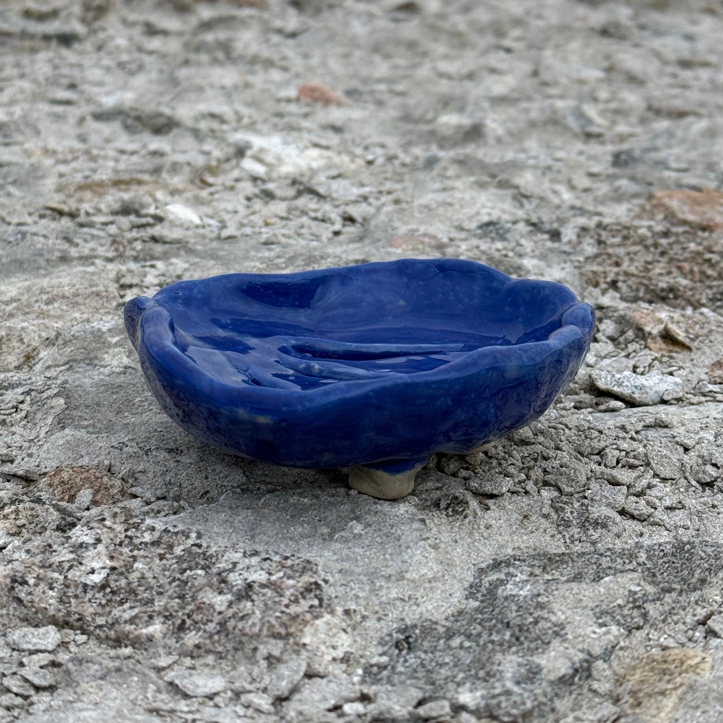 SOAP DISH no1