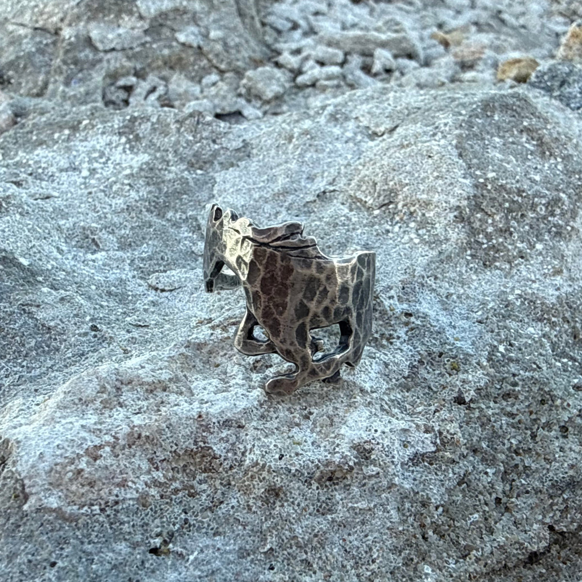 WILD HORSE RING OXIDIZED