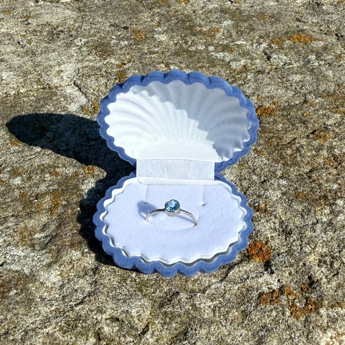 SEASHELL (blue)