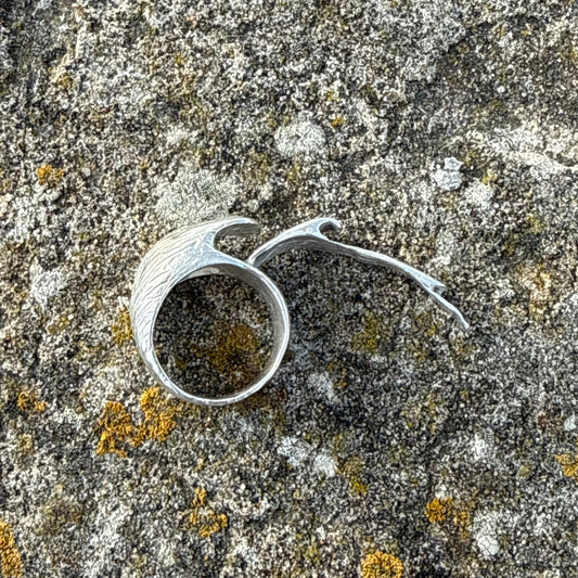 I COME FROM THE OCEAN