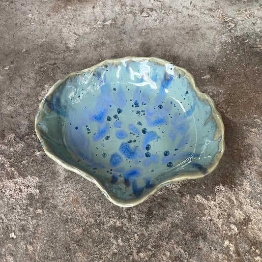 SEASHELL no3